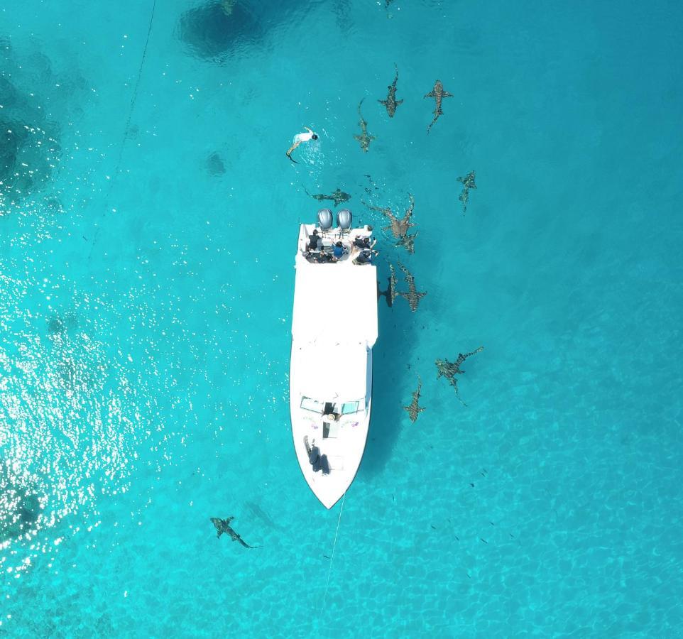 Hotel Ecoboo Maldives